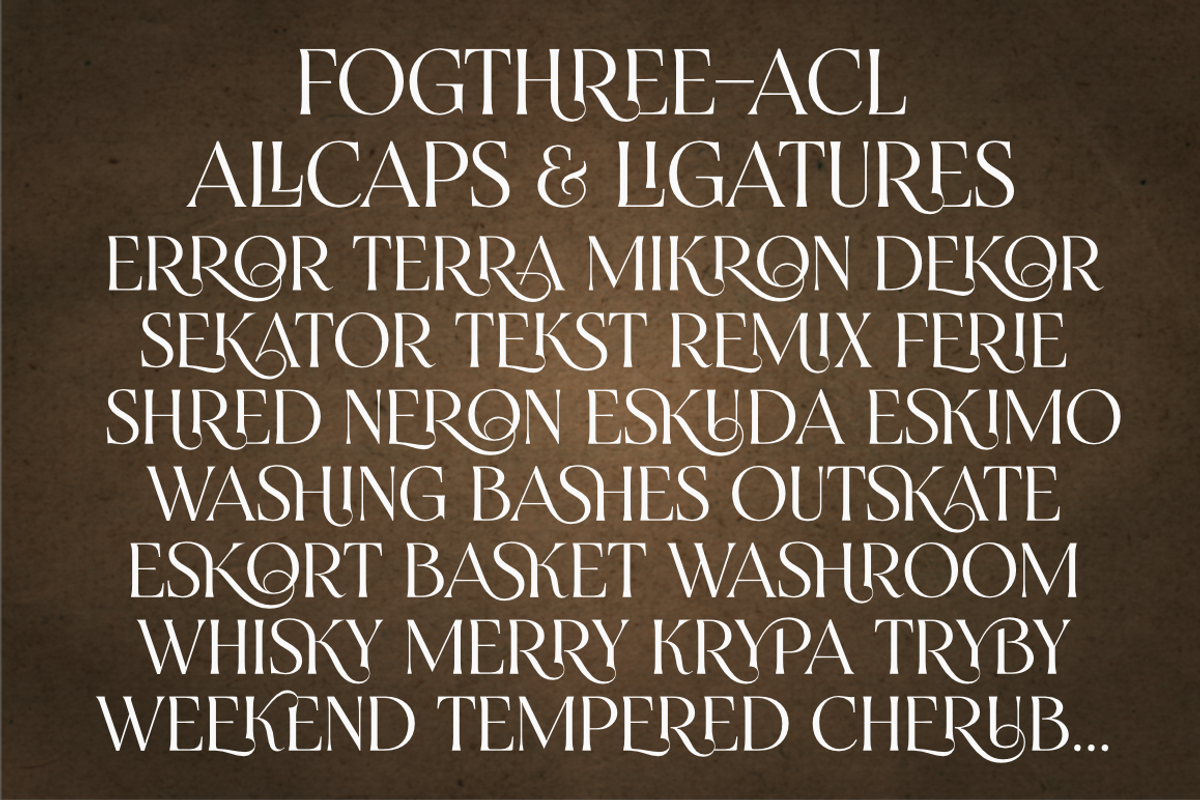 Fogthree & FogthreeACL preview 8