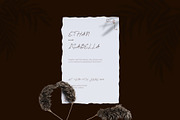 Elegance Wedding – Veilglos Font, a Handwritten Font by Stylin Studio (Thumbnail 6 of 9)