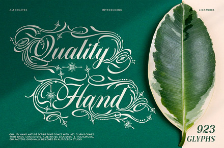 Quality Hand Typeface, a Script Font by alit design