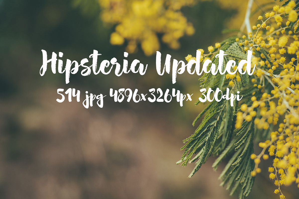 Hipsteria photo pack, a Templates & Theme by ApertureVintage (Photo 26 of 48)
