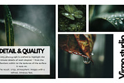 Liquid Jewels – Macro Photography, a Nature Photo by Virgo Studio (Thumbnail 4 of 6)