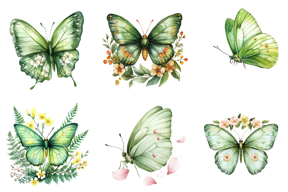 Watercolor Green Butterfly Floral, an Illustration by Watercolor design (Photo 4 of 5)