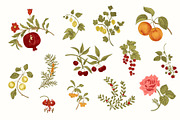 Happy Harvest, a Decorative Illustration by olga.korneeva (Thumbnail 3 of 21)