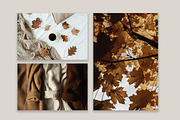 Fall Collection 3, a Beauty & Fashion Photo by Floral Deco (Thumbnail 5 of 8)