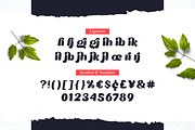 Moilgo - Beautiful Bold Font, a Serif Font by Fype Co. (Thumbnail 7 of 8)