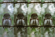 30 Countryside Lightroom Bundle, a Preset Add-On by 3Motional (Thumbnail 6 of 11)