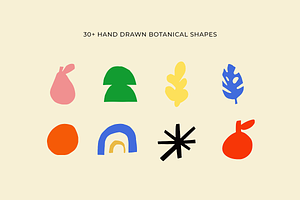 Botanical Illustrations Bundle Pack