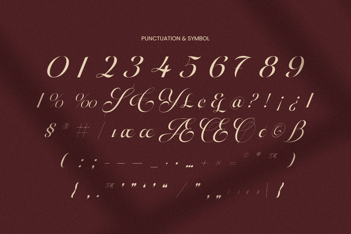Amoura - Elegant Luxury Script Font, a Script Font by Sensatype (Photo 11 of 13)