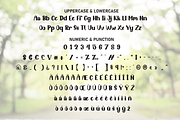 Daily | Script Font, a Handwritten Font by Scratchones (Thumbnail 7 of 9)