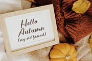 Northern Landmark, a Script Font by Brittney Murphy Design (Thumbnail 3 of 4)