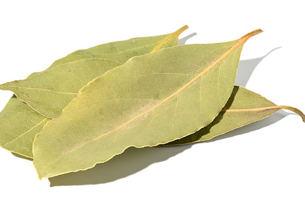 Dry bay leaf on a white isolated background, close up, a Food & Drink Photo by ndanko