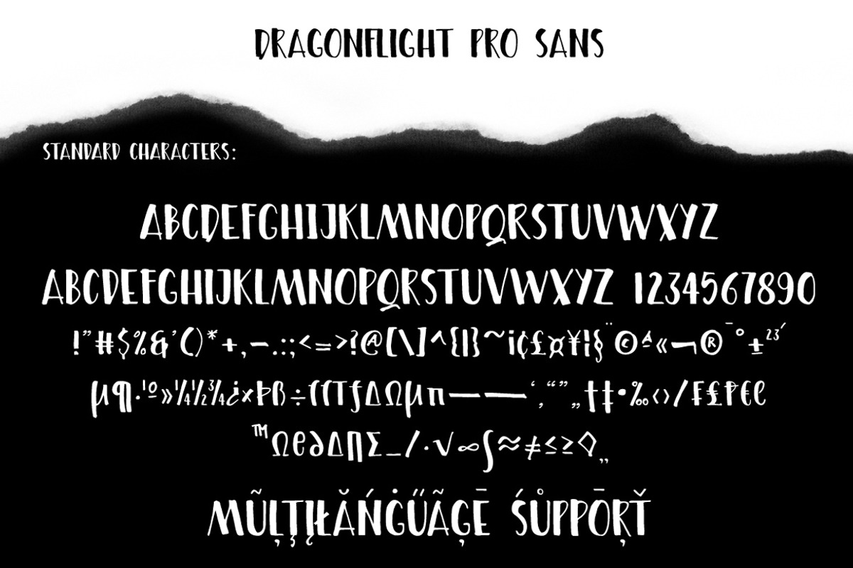 Dragonflight Pro, a Script Font by Fontforecast (Photo 10 of 12)