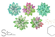 Rock Roses, an Illustration by Dana Designs (Thumbnail 2 of 3)