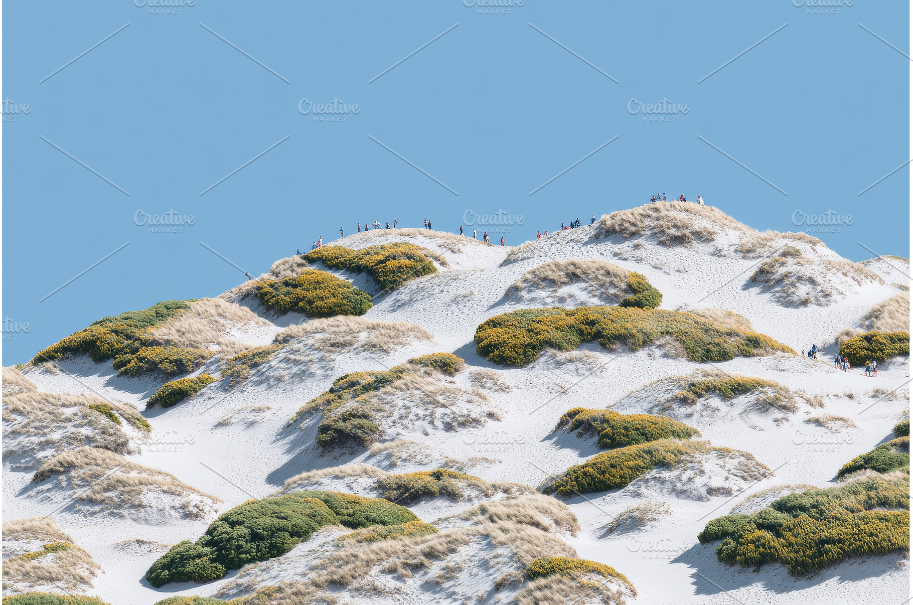 Visitors stroll across the sandy, a Holiday Photo by ZinetroN