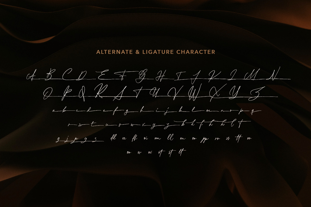 Donna Smith - Stylish Signature, a Script Font by Sarid Ezra (Photo 9 of 10)