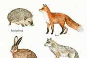 Watercolor Forest Animals Clipart, a Graphic by svetodesign (Thumbnail 6 of 12)