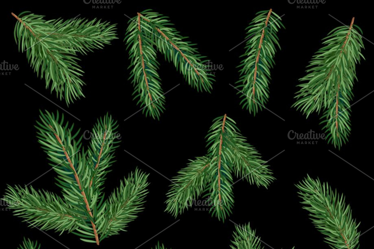 Fir tree branches vector set, a Decorative Illustration by MalinaShop (Photo 4 of 5)