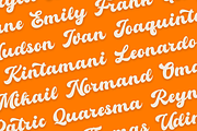 Marjane Logo Font, a Script Font by Basnistudio (Thumbnail 5 of 11)