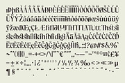 Grispily, a Serif Font by Black Studio (Thumbnail 6 of 16)
