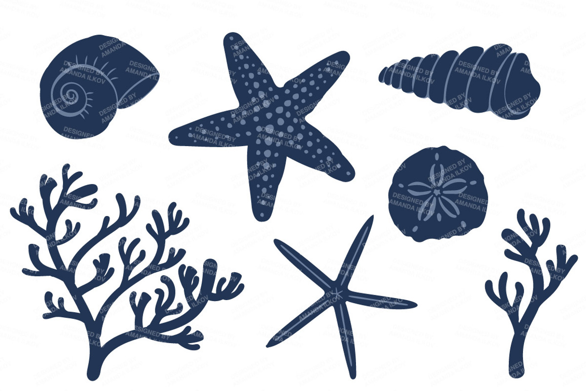 Navy Vector Seashells, an Illustration by Amanda Ilkov (Photo 4 of 5)