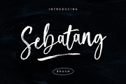 Sebatang Brush, a Script Font by Realtype (Thumbnail 1 of 10)