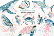 Undersea Ocean Animals PNG Clipart, an Animal Illustration by SugarCloudStudioArt (Thumbnail 1 of 7)