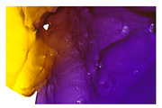 Ink Texture Collection, a Texture Graphic by Soffi Sk (Thumbnail 16 of 16)