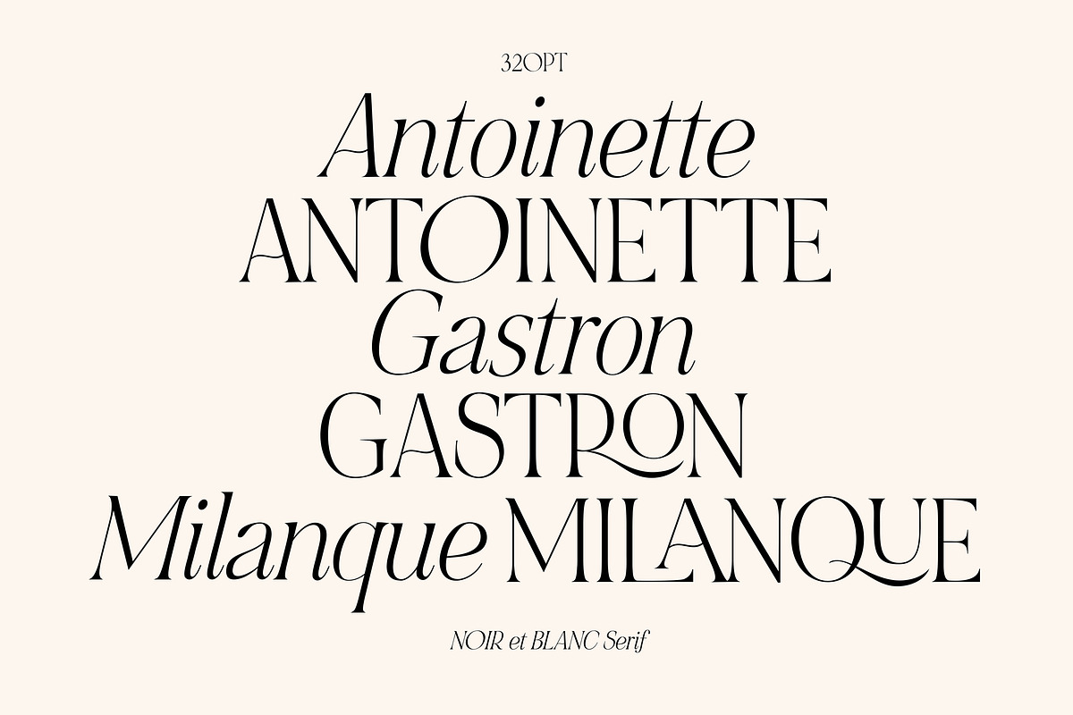 NOIR et BLANC Stylish Serif, a Serif Font by Nicky Laatz (Photo 5 of 41)