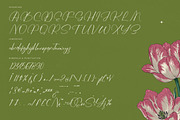 Josephine Octavia Stylish Font, a Script Font by stylishtype.co (Thumbnail 18 of 20)