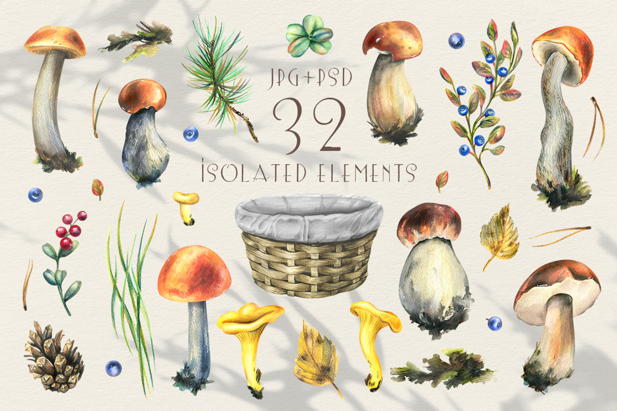 Mushrooms edible forest watercolor, an Object Graphic by NATASHA CHU (Photo 2 of 11)