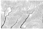 Growth - 50 Backgrounds, a Texture Graphic by GarryKillian (Thumbnail 27 of 51)