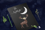Into The Wild, an Animal Illustration by AurAandTheCat (Thumbnail 30 of 30)