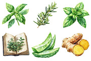 Botanical Wellness Watercolor Clipar, an Illustration by Daily.Designs (Thumbnail 4 of 4)