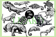 Reptiles, an Animal Illustration by Ecaterina Sciuchina (Thumbnail 1 of 5)