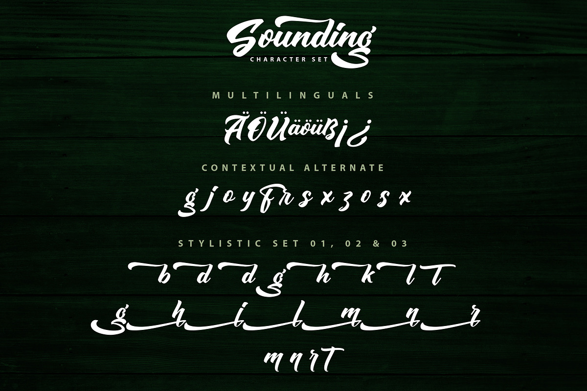 Sounding - Handlettering Script Font, a Script Font by Typefactoryco (Photo 8 of 9)