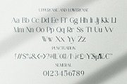 Fantia || Modern Serif Font, a Serif Font by Idea Studio (Thumbnail 10 of 10)