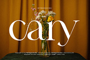 Cary | Classy Serif Font, a Serif Font by Pentagonistudio (Thumbnail 1 of 10)