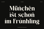 CS Anakin, a Serif Font by Craft Supply Co. (Thumbnail 7 of 8)