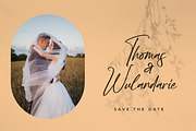 Poleemanik, a Script Font by Integritype Studio (Thumbnail 6 of 15)