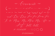 Lady Slippers Ornaments, a Symbol Font by STUDIOWAYS (Thumbnail 3 of 4)