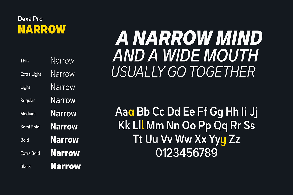 Dexa Pro Variable, a Sans Serif Font by Artegra (Photo 9 of 15)