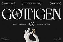 Gottigen Display