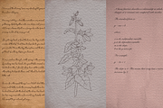 Vintage Ephemera, a Background Graphic by Digitaliya (Thumbnail 5 of 7)