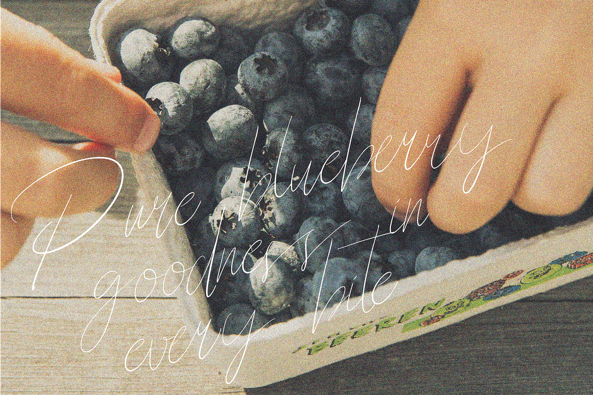 Wesperia Script, a Script Font by Berdansabersama (Photo 4 of 8)