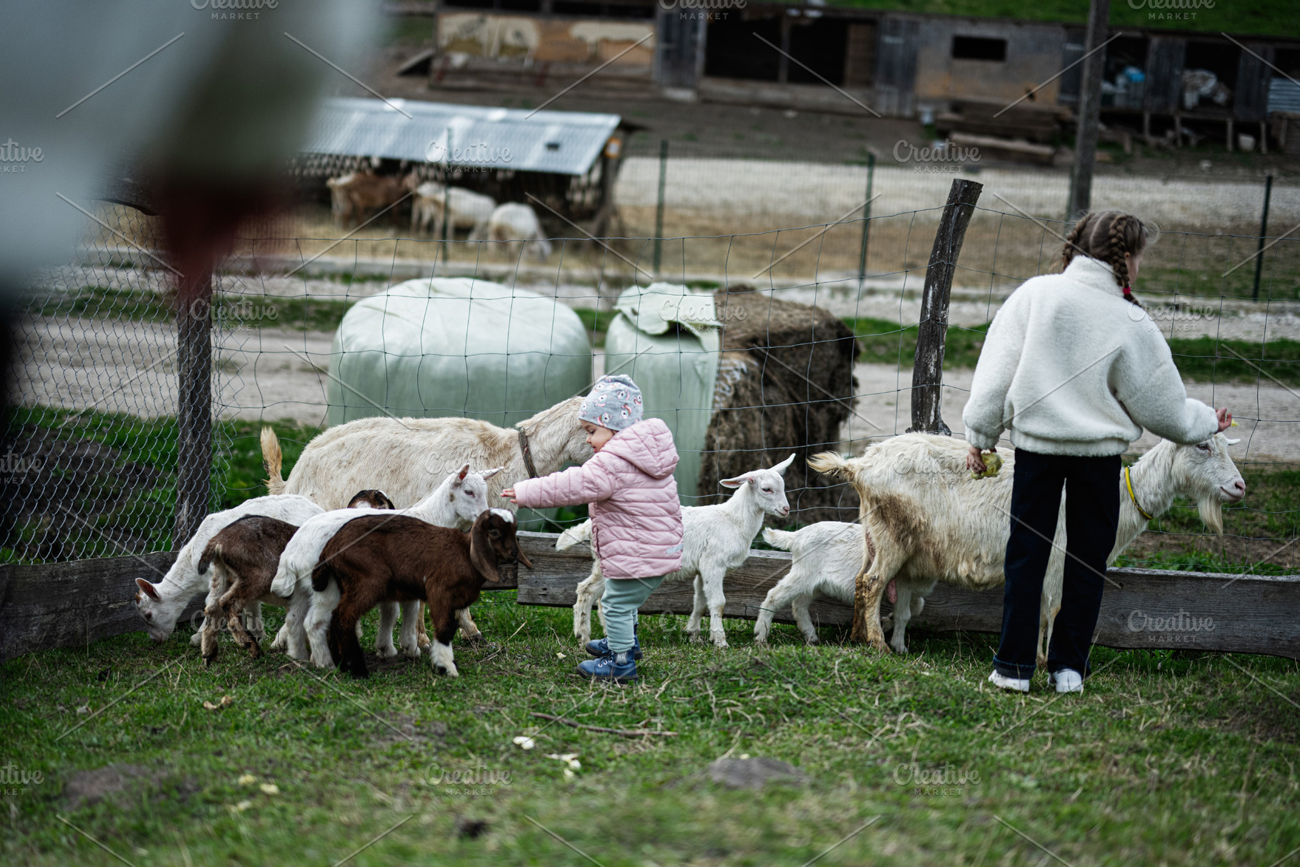 Two children feeding and petting goats at a rural farm fence on a cloudy day, a Person Photo by AS photostudio