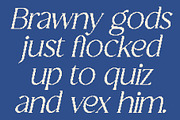 CS Granvile Pixel, a Serif Font by Craft Supply Co. (Thumbnail 5 of 8)