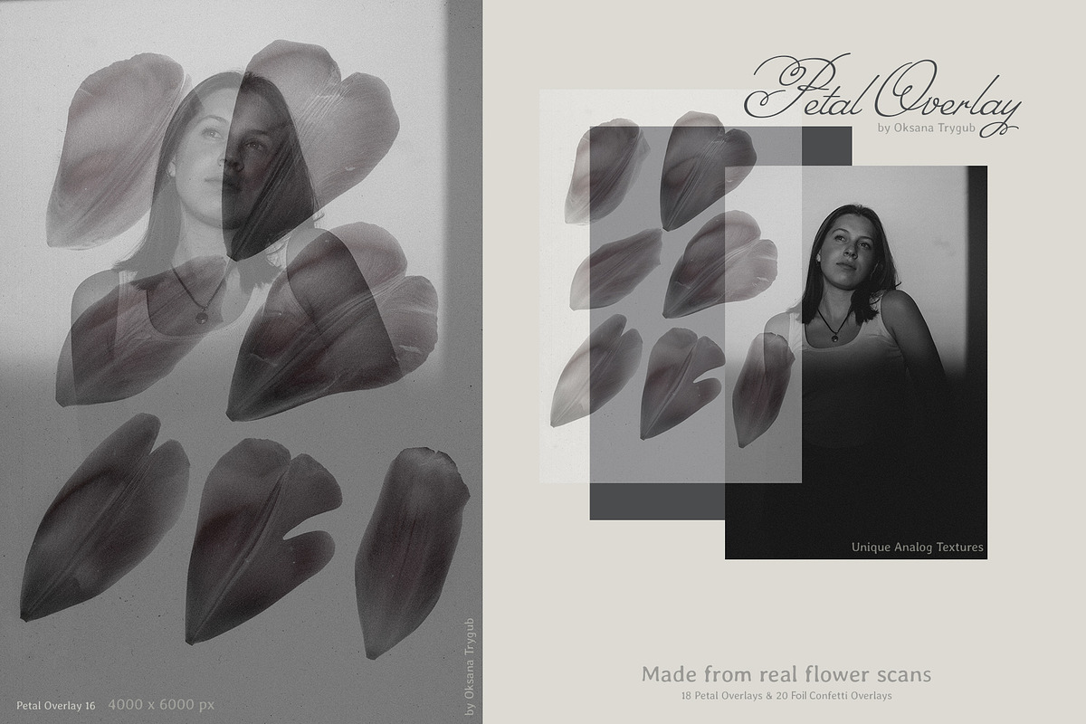 Flower Petal Textures & Foil Overlay, a Texture Graphic by Oksana Trygub (Photo 22 of 28)