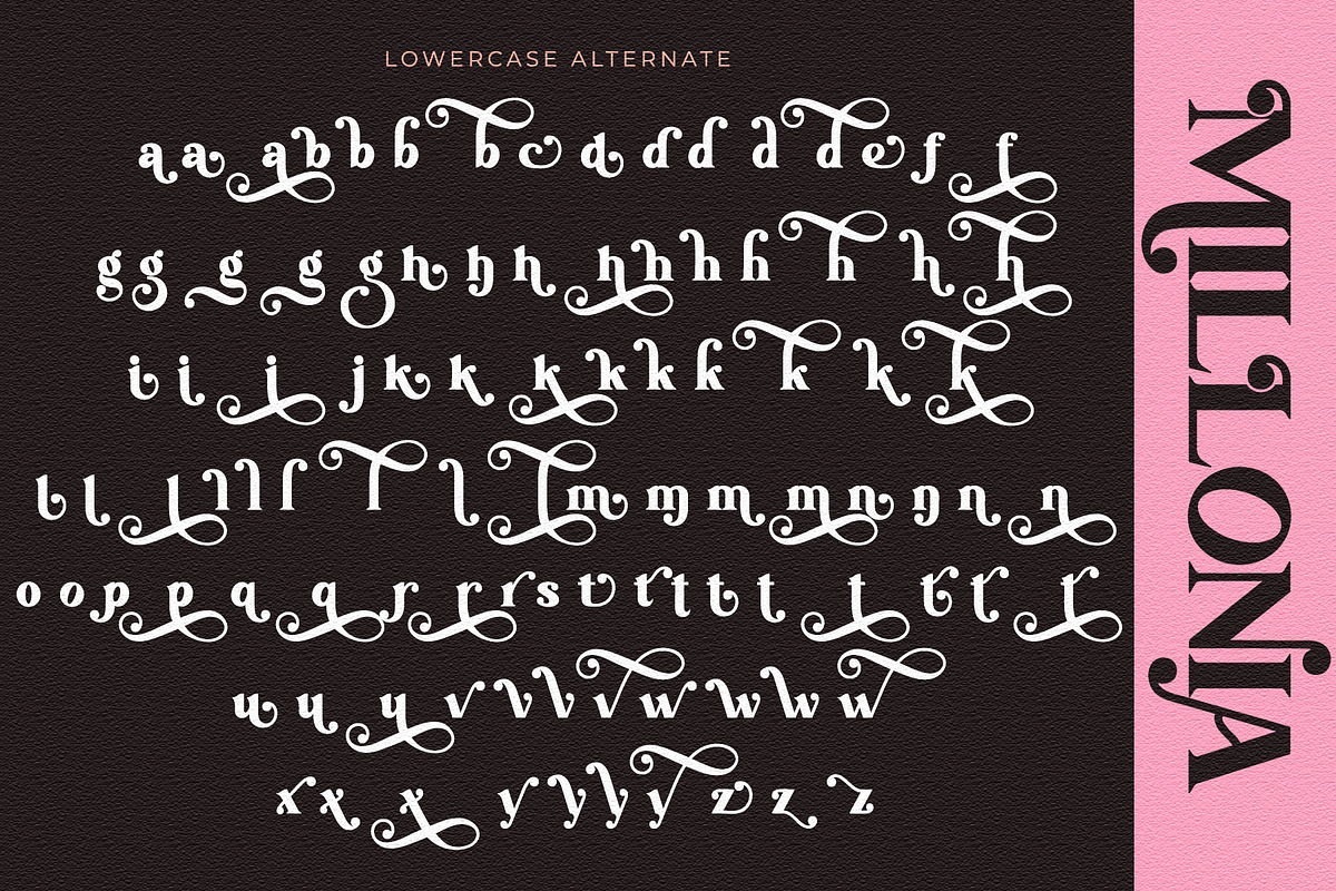 Millonia - Display Serif with Swirl, a Serif Font by Airotype (Photo 16 of 17)