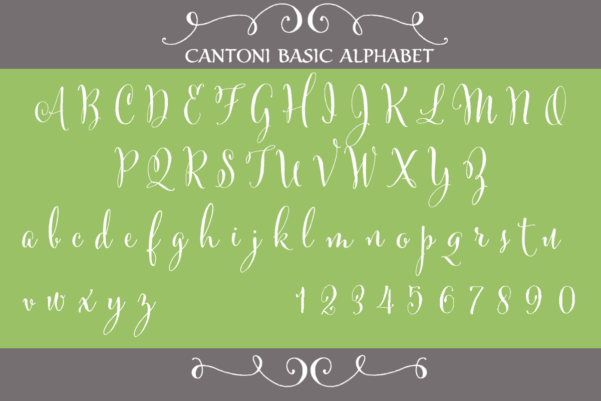 Cantoni Hand Lettered Font preview 2