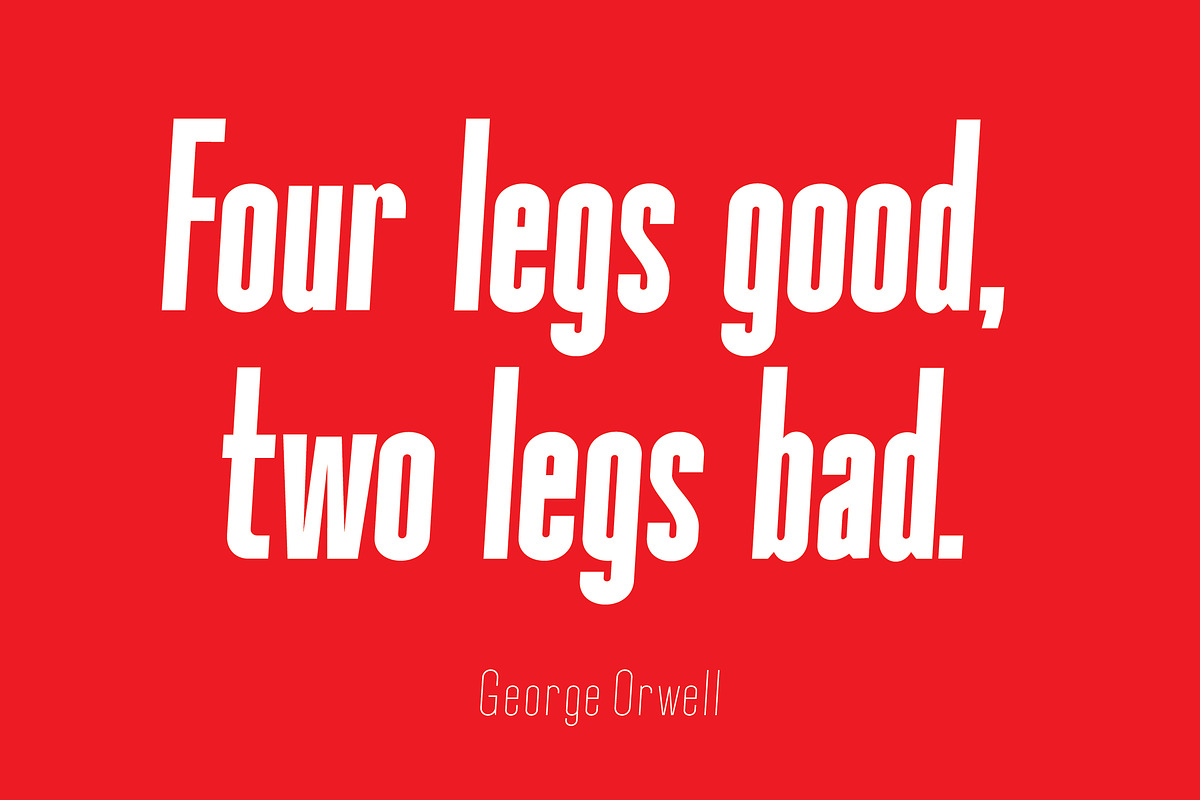 Okana Condensed Sans Serif, a Sans Serif Font by CorgiAstronaut (Photo 4 of 9)